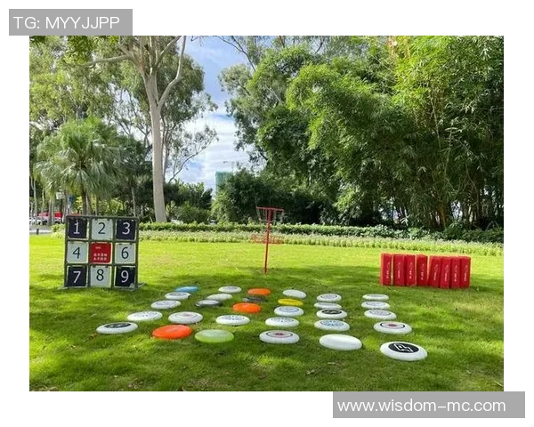 2026飞盘配合排名：南京飞盘队创新高