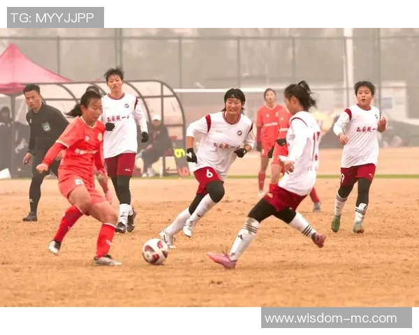 全国锦标赛点评：西安足球队的个人能力表现