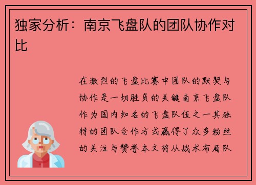 独家分析：南京飞盘队的团队协作对比