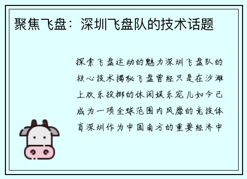 聚焦飞盘：深圳飞盘队的技术话题