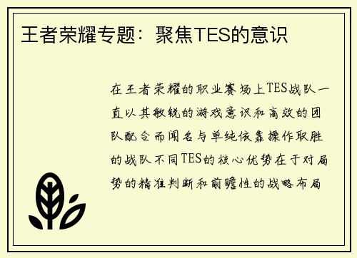 王者荣耀专题：聚焦TES的意识