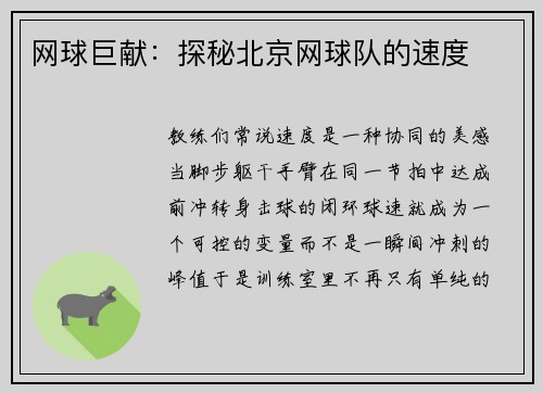 网球巨献：探秘北京网球队的速度